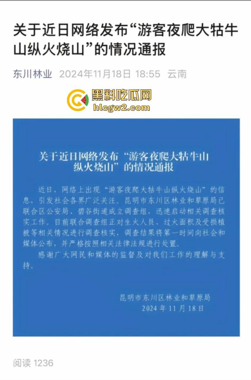 青春无售价却纵火韶山！无知大学生云南东川大牯牛山放火毁二级保护植物 杜鹃花全军覆没！