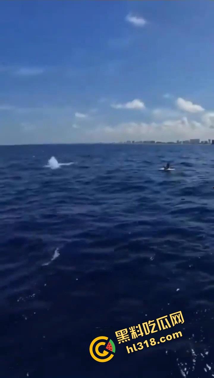 老外挑战大海漂流日逼,日到一半遇金枪鱼,鸡儿抽插手在抓鱼,打完炮还能吃活生鱼片,真正的野外求生!-6