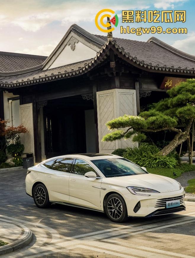 比亚迪海豹直播翻车,主播测试智能驾驶自动泊车,直接撞上车,吓得秒下播!比亚迪公关团队连夜上班?-3