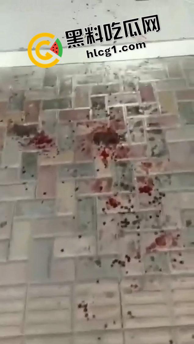 血腥!女子医院前自杀 拍视频记录最后一刻 鲜血直流无人救援 这是多绝望才出此下策-3