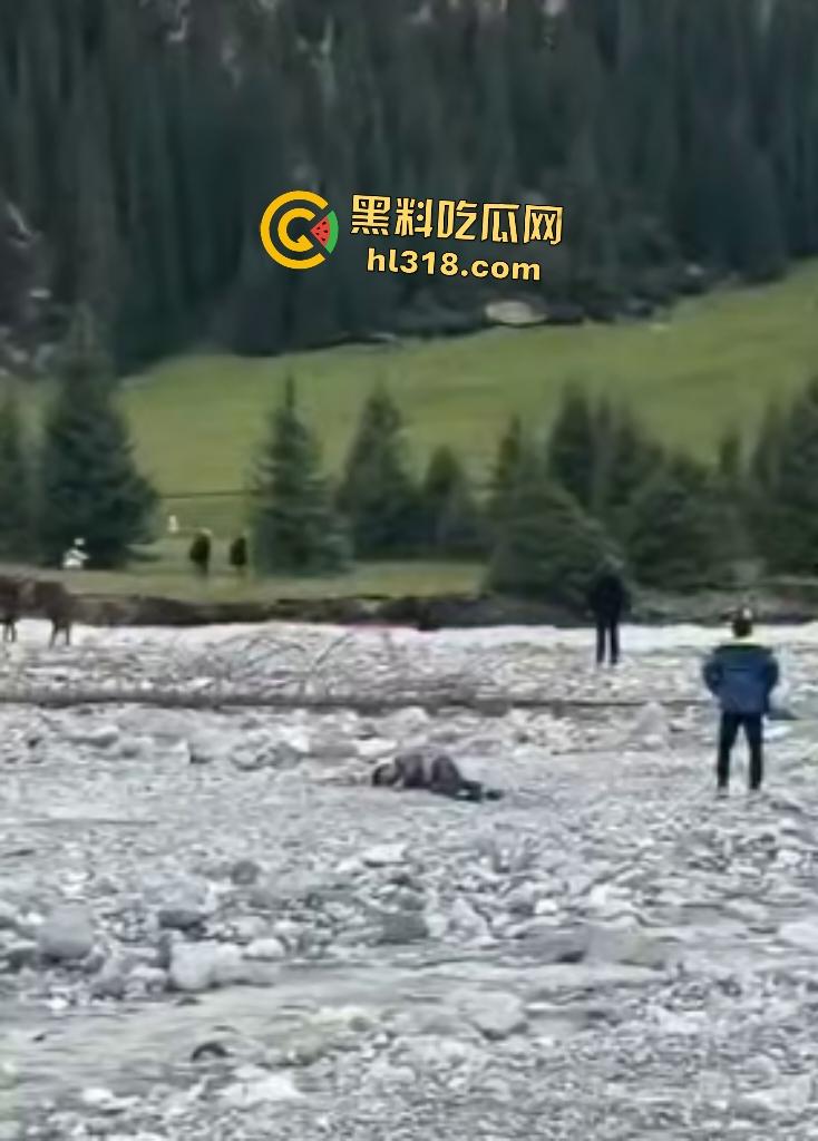 新疆伊犁昭苏县夏塔景区吊桥断裂29人滑落5死22伤，桥虽不高但下面就是激流的河水，直接能摔死！-6