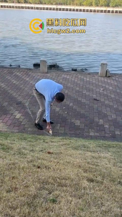 广州番禺区遛狗的注意了！有人在河边下毒，什么变态玩意儿？小心爱犬中招！-4