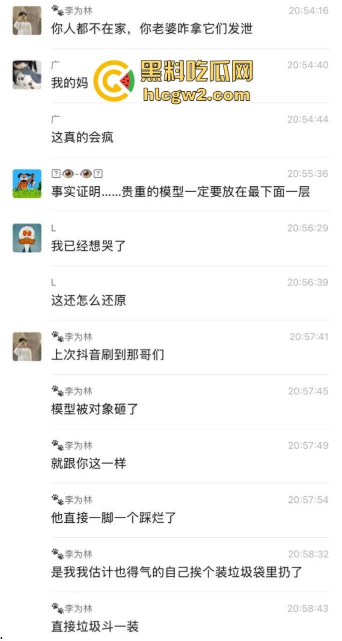 大型崩溃现场！高达爱好者男子与老婆吵架 上万模型珍藏被老婆砸毁 看完血压飙升！-9