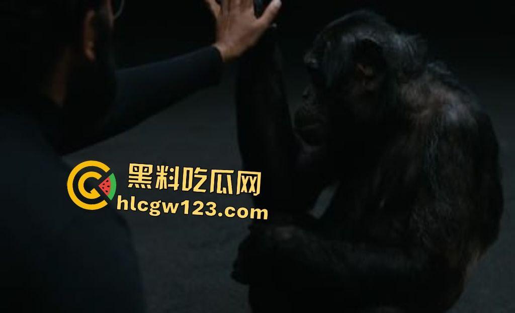 Yo,《评估》这末世神片吓得头皮发麻!生育权噩梦,人性深渊炸裂!-4