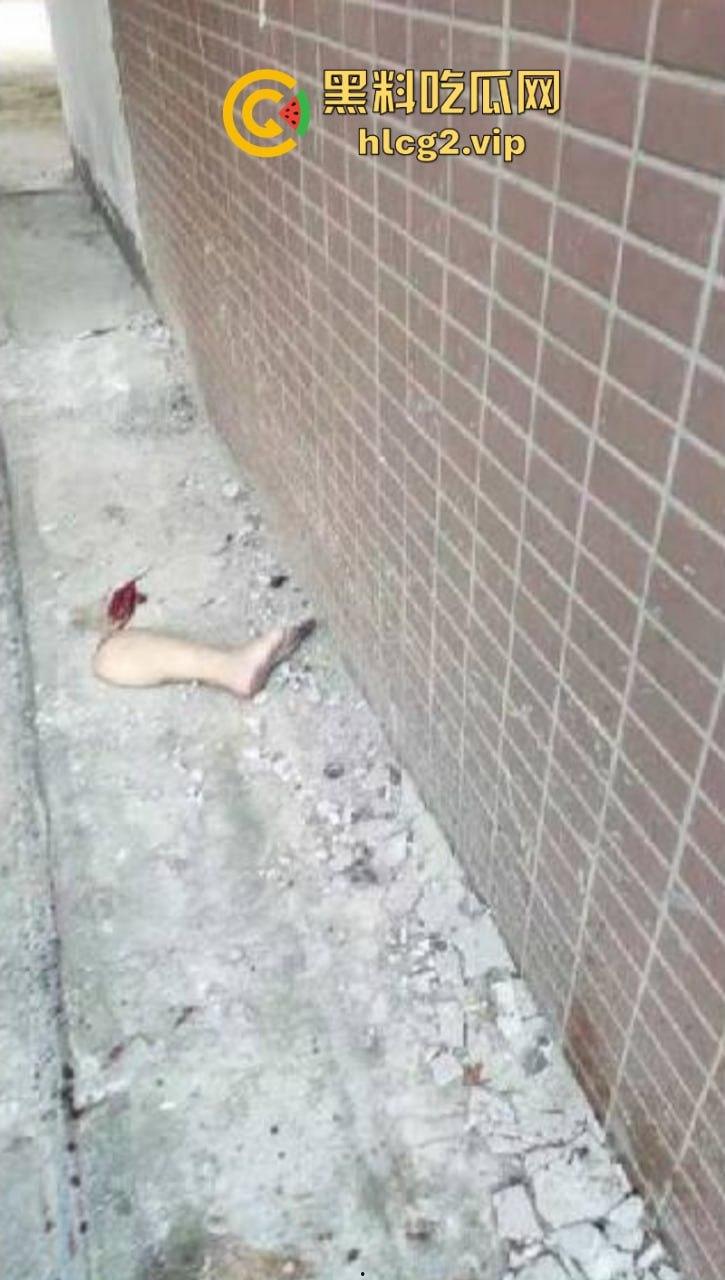 广西又来上分了!横州市财政所所长杀人分尸买最贵的双开门“冻”最爱心上人-11