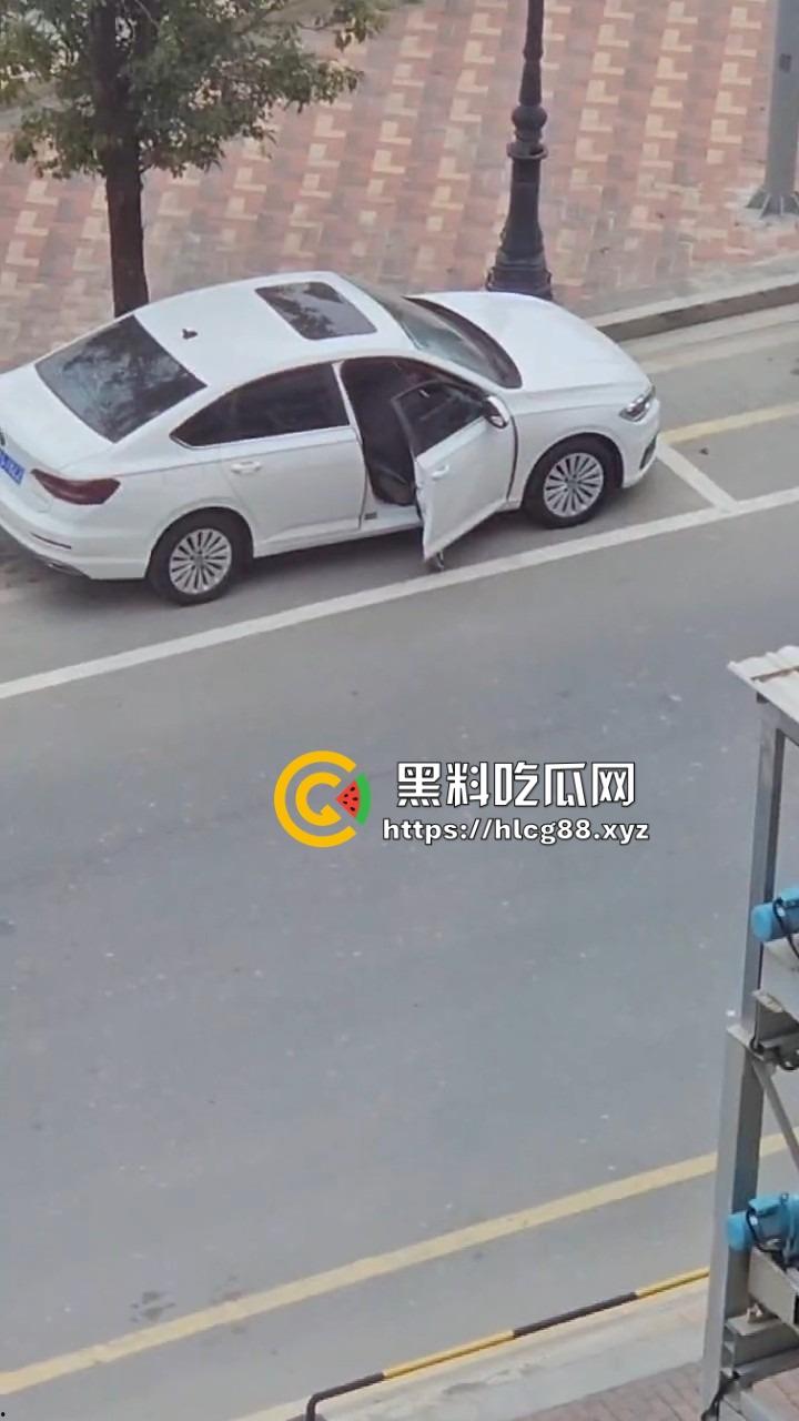 河南偷车小分队大白天开抢,一人爆车门硬撬,两傻逼骑小电驴望风,天网监控算个屁!-6