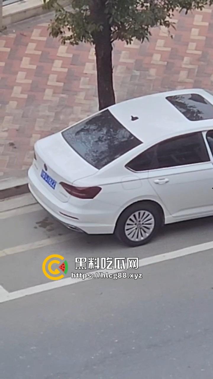 河南偷车小分队大白天开抢,一人爆车门硬撬,两傻逼骑小电驴望风,天网监控算个屁!-7