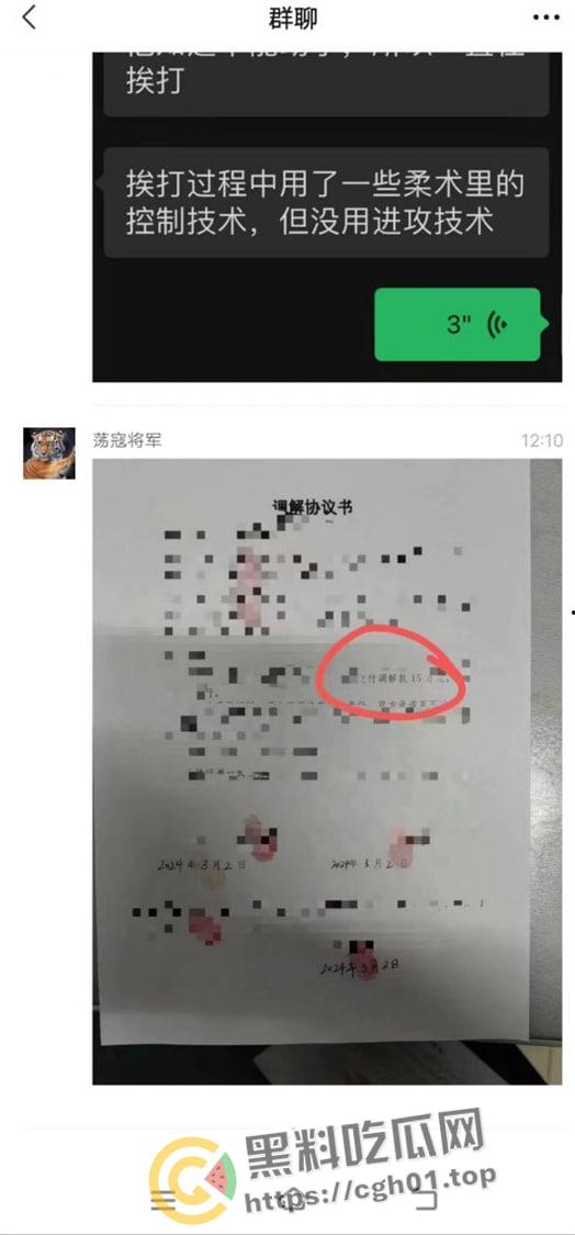 路怒症男子街头对战柔术黑带 反被黑带男技巧性挨打讹了15w 这就是会挨打的含金量-10