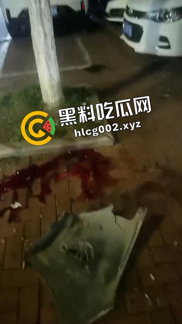 安徽工业大学大瓜!情侣骑单车被毒驾司机失控撞死 现场视频流出-2