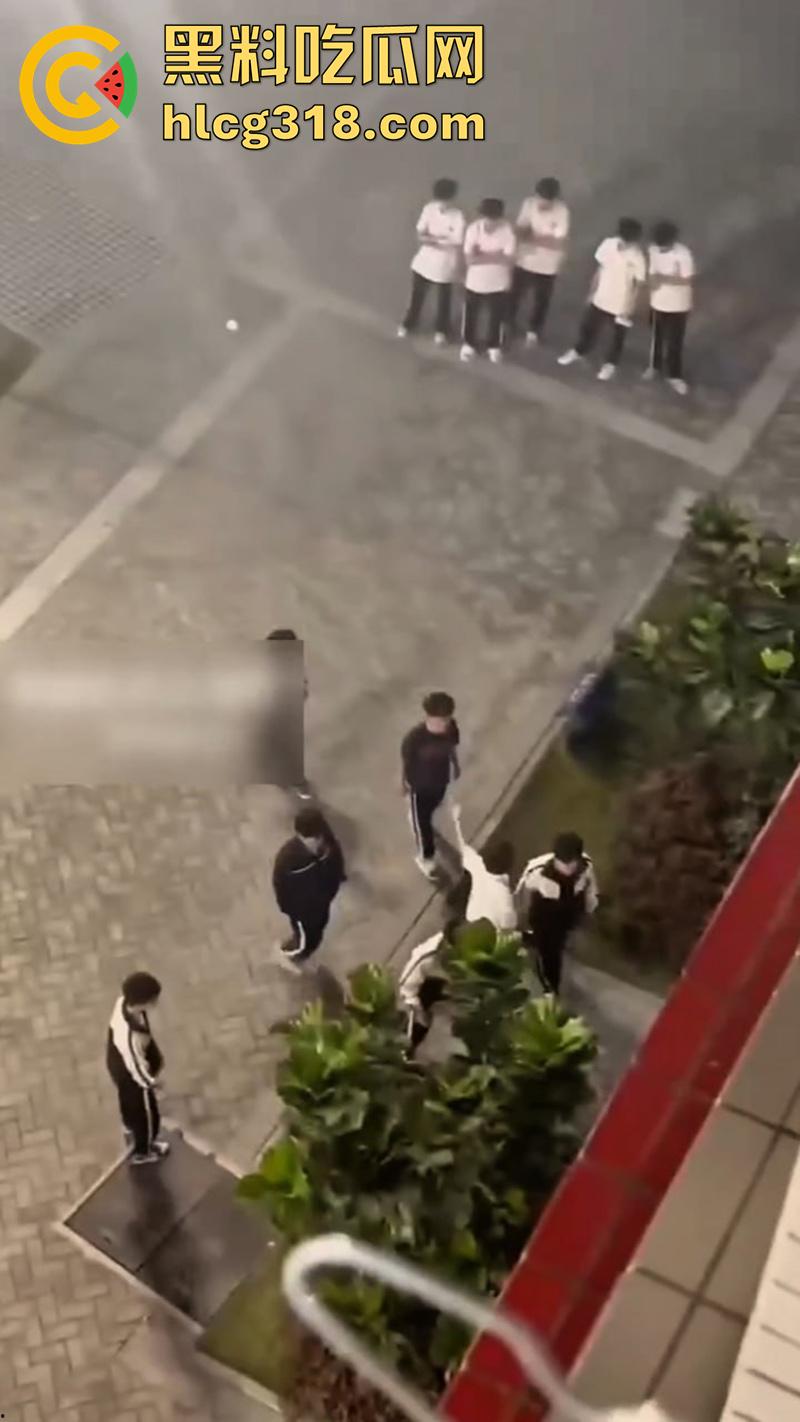 我拿你当兄弟你竟然操我妈?高中生把同学母亲给操怀孕了,儿子知道后直接在学校打起来了!-7