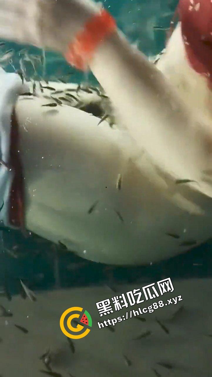 小蝌蚪找妈妈猎奇调教!将骚鸡少妇丢进池塘喂小鱼,发臭骚逼吸引蝌蚪钻逼与卵细胞结合!-6