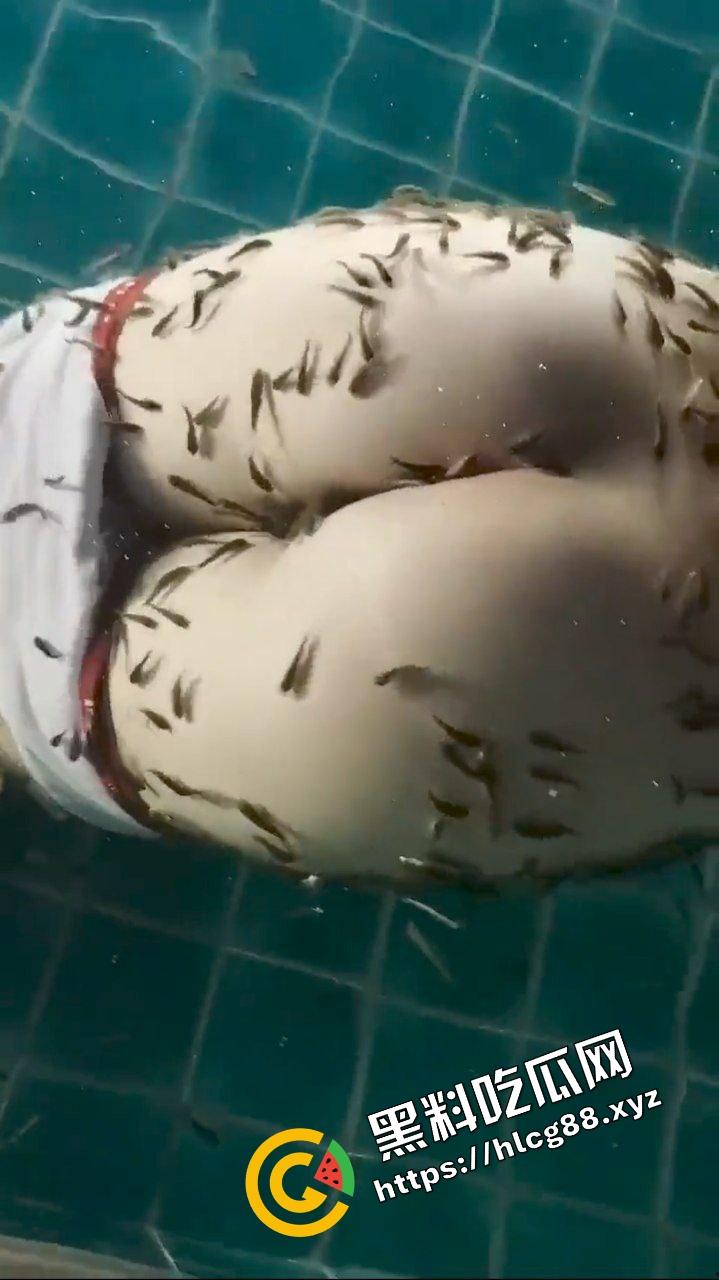 小蝌蚪找妈妈猎奇调教!将骚鸡少妇丢进池塘喂小鱼,发臭骚逼吸引蝌蚪钻逼与卵细胞结合!-7