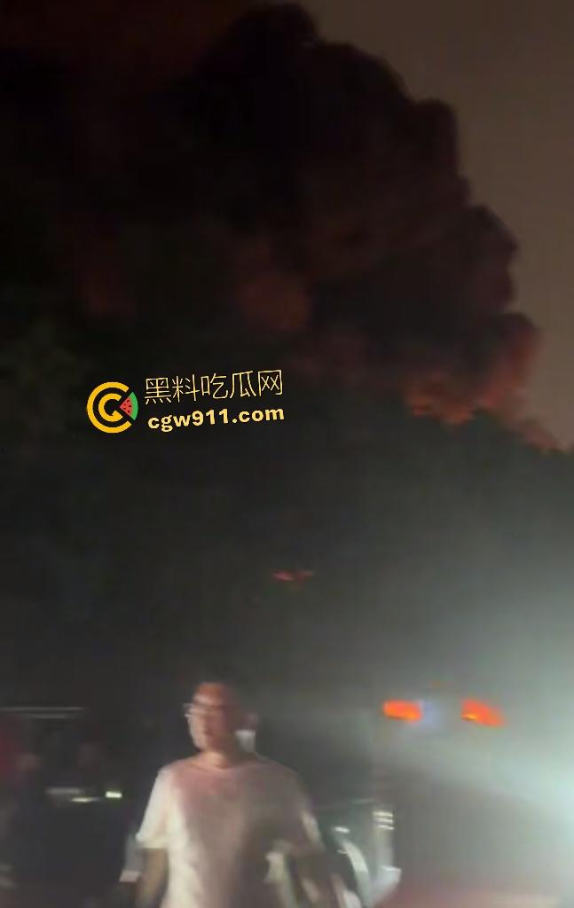宁波姜山镇顺丰物流仓库惊天大火！高压路奥克斯旁熊熊烈焰，20余辆消防车鏖战一小时勉强控火！-3