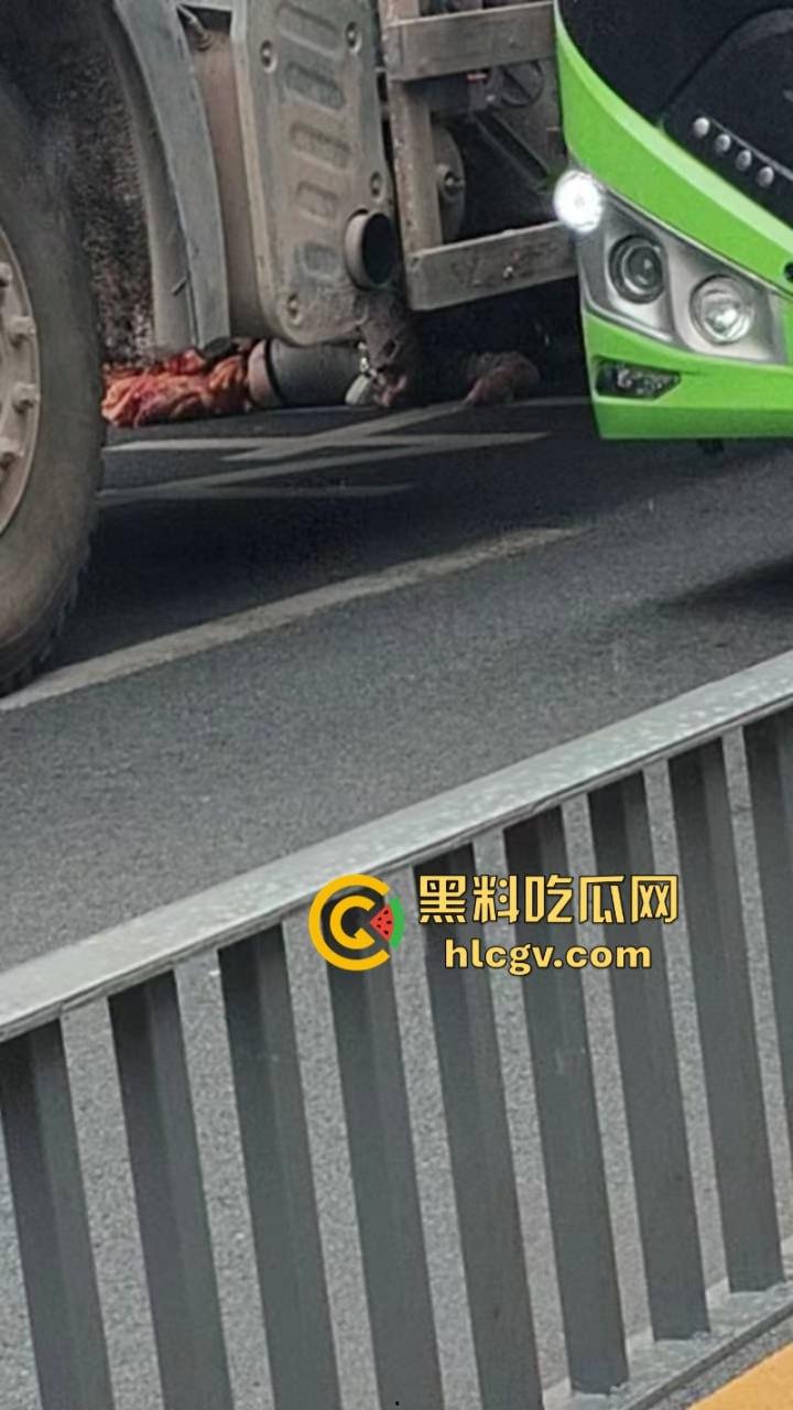 自贡张家沱隧道口工程车酿惨祸一妇女被大型工程车碾压后场景惊心!-2