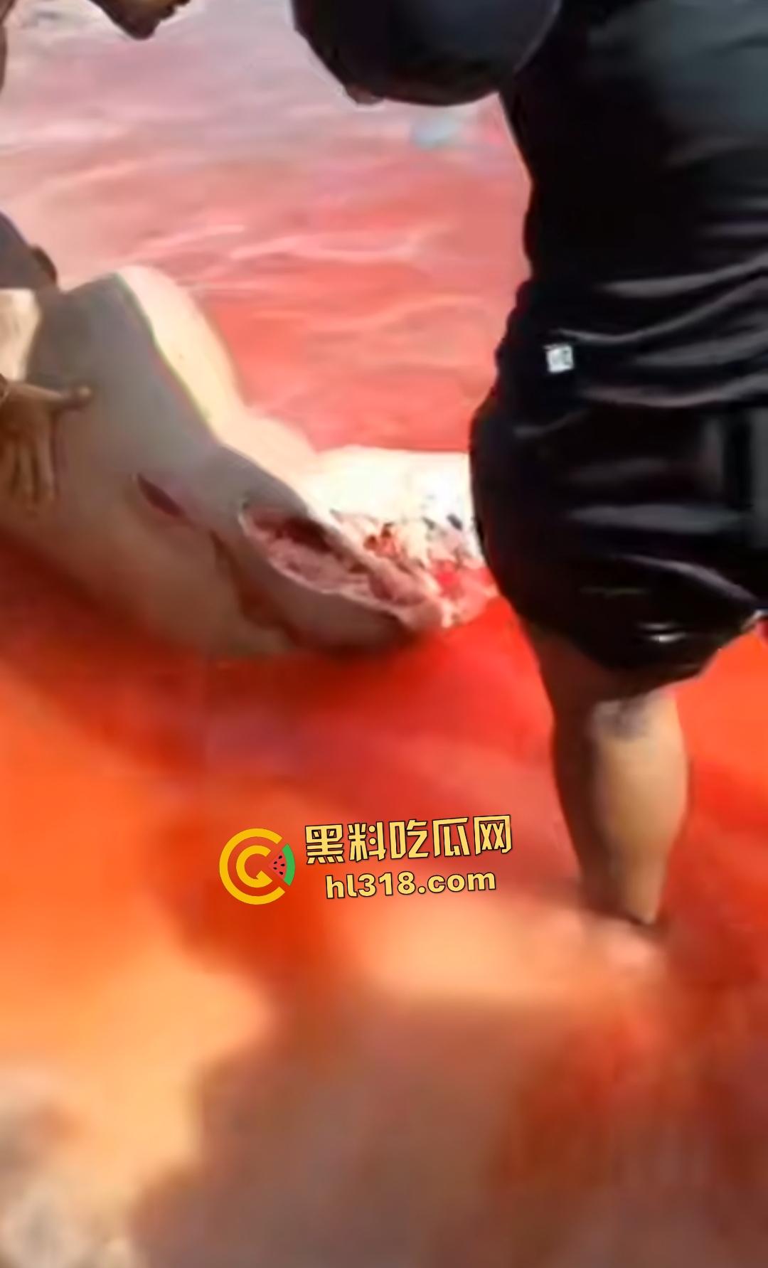 黑人男子海边遭螺旋桨血腥绞杀!下半身肉烂血染红海,旁人妄图复原断肢,谁知身体差点变两半!-4