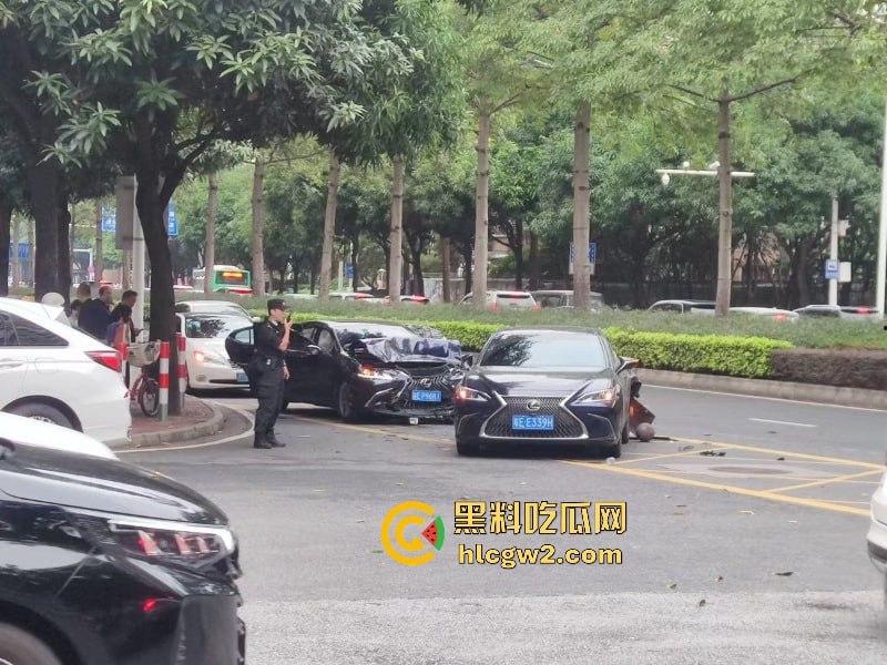 想死拉个垫背的? 广东佛山禅城一男子驾车无视红灯撞死路人 现场碾人视频流出-4