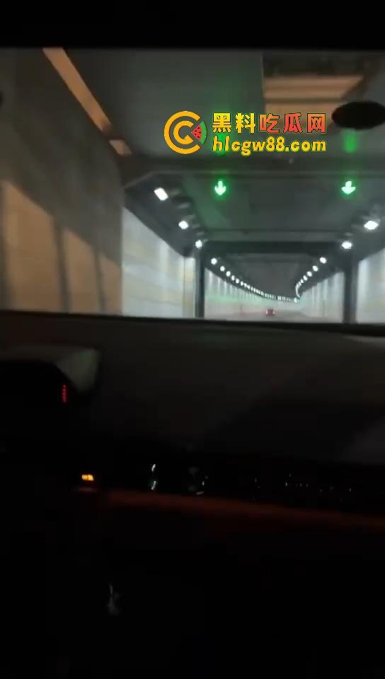 上海装逼狗租小牛隧道飙车炸场,下雨天装逼被雷劈爽翻天,谁瞅他不笑死这傻屌!-2