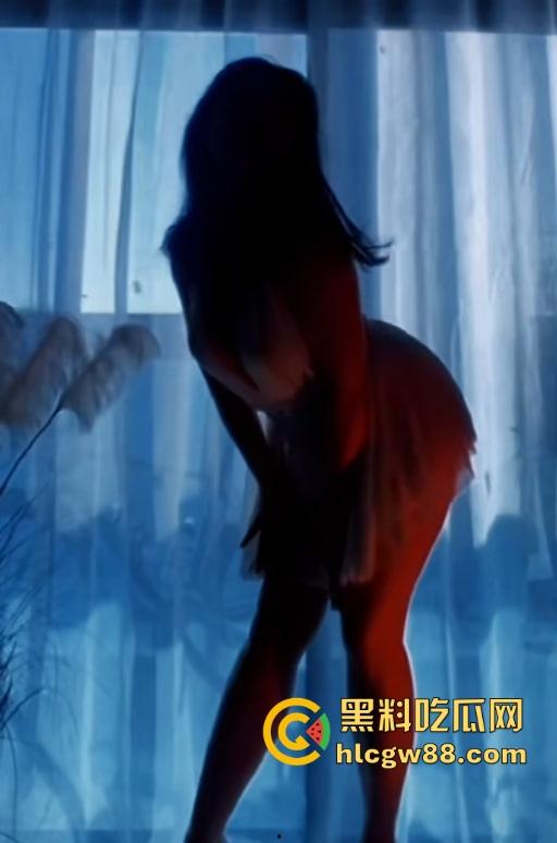 湖北抖音【猫咪老师】熟妇主播化身性感小野猫,一个私人飞机就开腾讯会议室湿欲私播,没声也够骚!-3