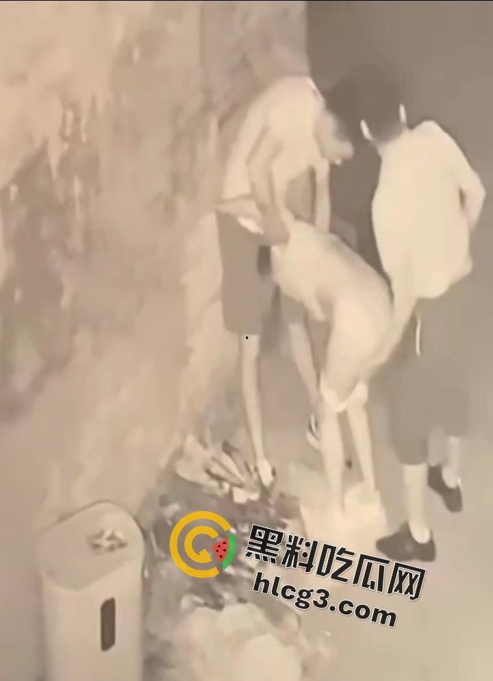 山东师范大学美女学生『薛菲』街头醉酒后被两人拉至路边强奸 被两男子插嘴后入-6