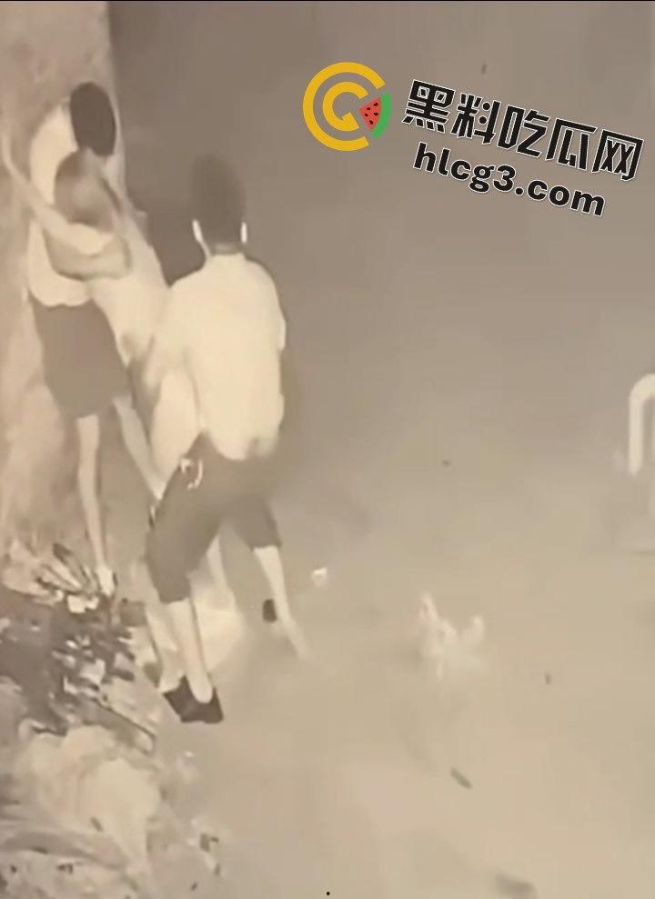 山东师范大学美女学生『薛菲』街头醉酒后被两人拉至路边强奸 被两男子插嘴后入-11