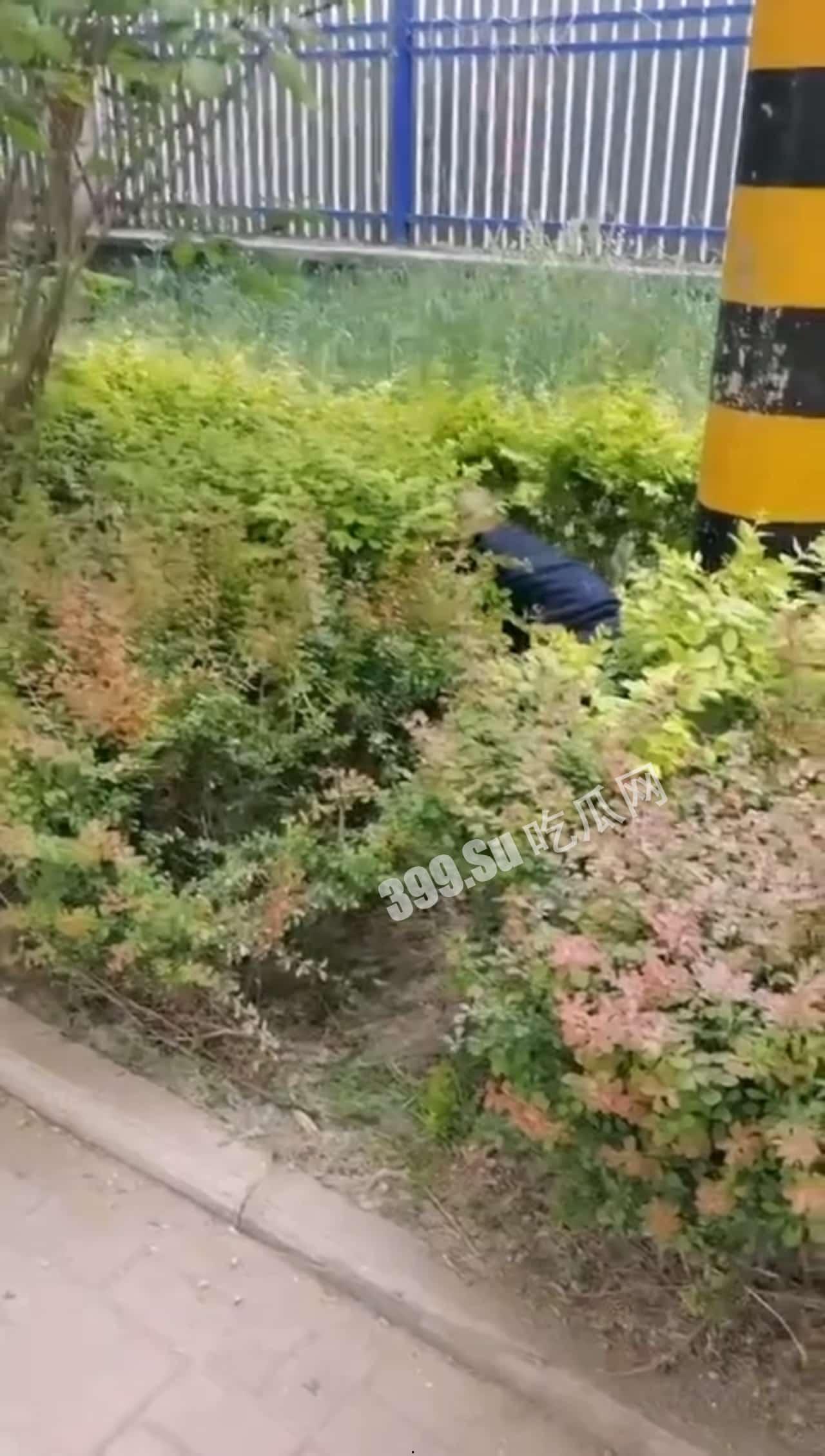 卧槽，光天化日之下还有这种事？！强奸女性-1