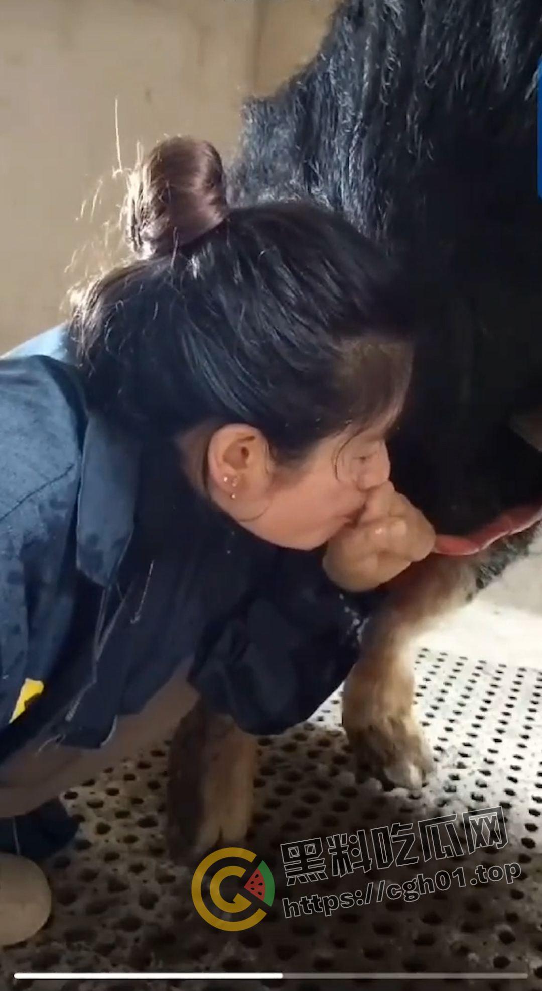 湖北养猪场变态女老板给猪口 手嘴并用被猪射满脸 八戒狂喜-6