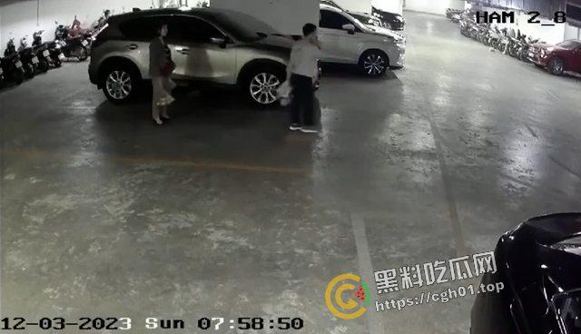 得不到就毁掉!男子直接撞死刚从小三车上下来的妻子 这个才叫真爱-2